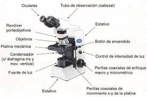 TIPOS DE MICROSCOPIOS - sitio